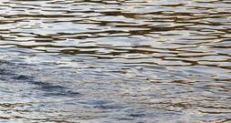 BUND kritisiert Umgang mit Niedrigwasser scharf