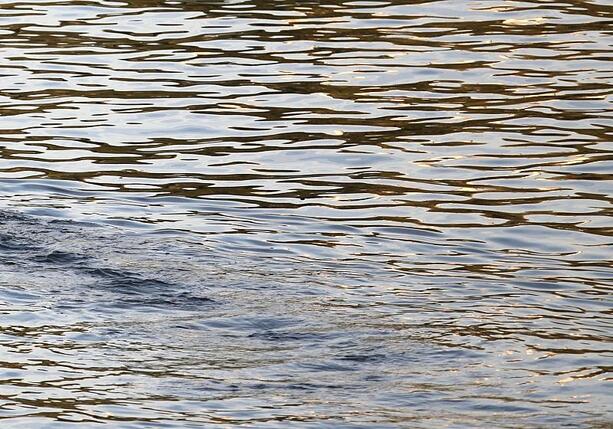 Bild vergr&ouml;&szlig;ern: BUND kritisiert Umgang mit Niedrigwasser scharf