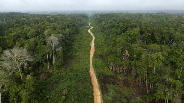 Bild vergr&ouml;&szlig;ern: Abholzung im Amazonas auf niedrigstem Stand seit einem Jahrzehnt
