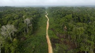 Abholzung im Amazonas auf niedrigstem Stand seit einem Jahrzehnt