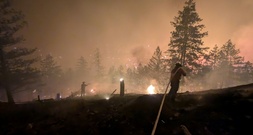 Waldbrände in Kanada: Notstand in Provinz British Columbia ausgerufen