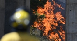 Kampf gegen neuen Waldbrand in Spanien - hunderte Feuerwehrleute und Soldaten im Einsatz