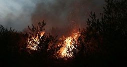 Neuer Waldbrand in Südfrankreich: Mehr als 200 Feuerwehrleute im Einsatz
