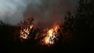 Neuer Waldbrand in Südfrankreich: Mehr als 200 Feuerwehrleute im Einsatz