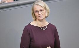 Karliczek warnt vor Folgen des Niedrigwassers für Flusskreuzfahrten