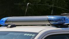 Männlicher Torso in Wald bei Flensburg gefunden