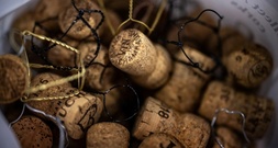 Erntebeginn für Champagner-Trauben in diesem Jahr so früh wie nie