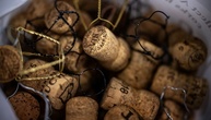 Erntebeginn für Champagner-Trauben in diesem Jahr so früh wie nie