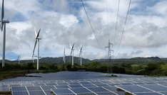 Studie: Mehrheit in Deutschland ist weiter für konsequenten Klimaschutz