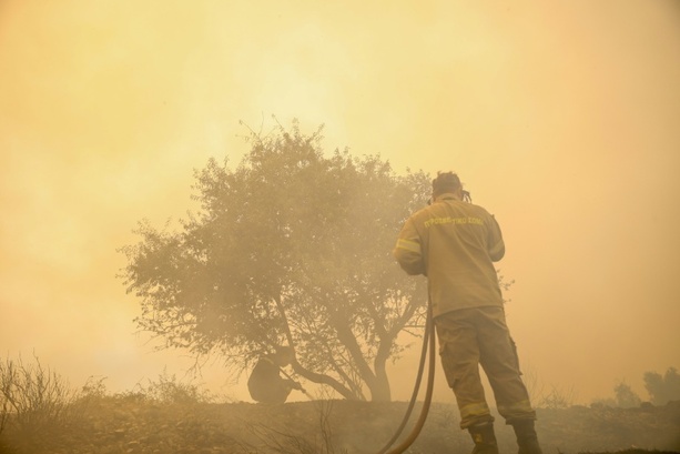 Bild vergr&ouml;&szlig;ern: Waldbrand in Griechenland: Mehr als 250 Urlauber mit Booten von Stränden evakuiert