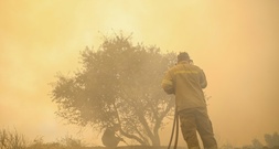 Waldbrand in Griechenland: Mehr als 250 Urlauber mit Booten von Stränden evakuiert