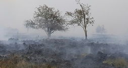 Waldbrände: SPD nimmt Strafverschärfung für Brandstiftung ins Visier