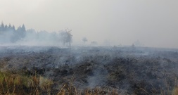Waldbrand in Belgien nahe Deutschland hat 3000 Hektar Land zerstört
