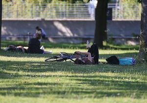 Umweltverbände fordern Klima-Aktionsplan von der Regierung