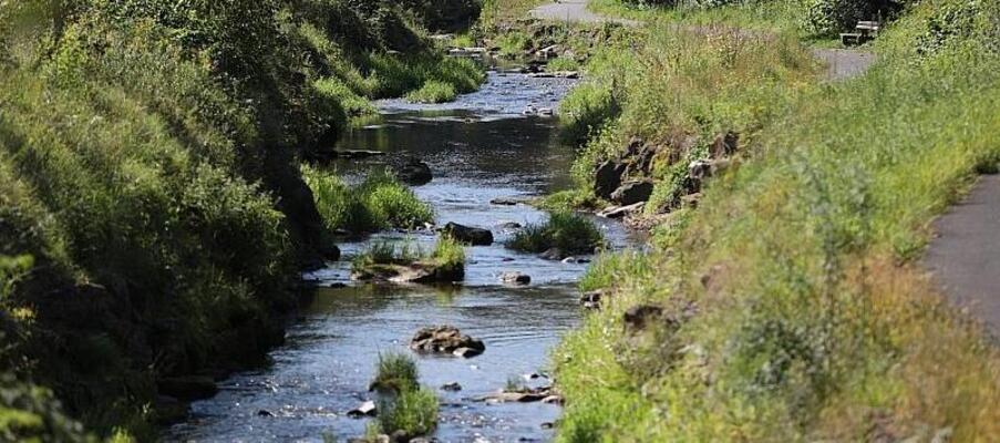 SPD warnt vor Verteilungskämpfen um Wasser