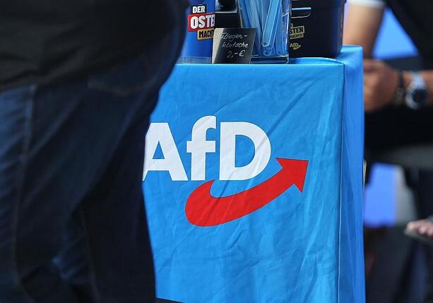 Bild vergr&ouml;&szlig;ern: Israels Ex-Botschafter Stein: Brandmauer zur AfD ist gescheitert