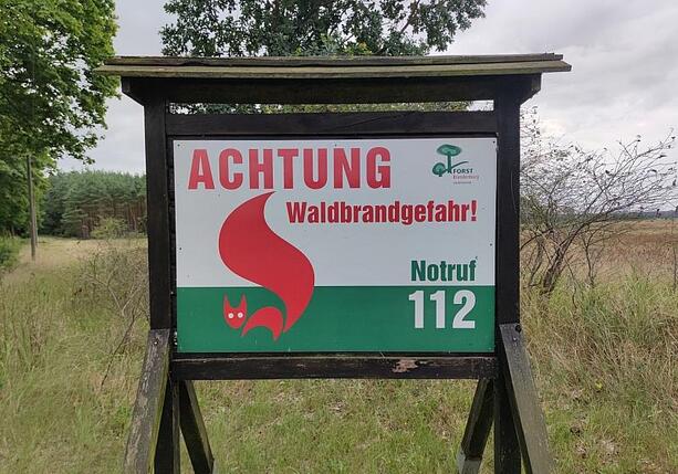 Bild vergr&ouml;&szlig;ern: Feuerwehrverband: Höhere Strafen bei Waldbränden kein Allheilmittel
