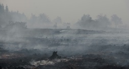 Drohende Gesundheitsgefahr durch Brand im Hohen Venn für Anwohner