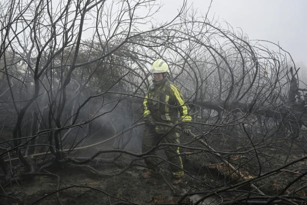 Bild vergr&ouml;&szlig;ern: Waldbrand im belgischen Hohen Venn eingegrenzt - Lage bleibt aber kompliziert