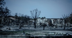Waldbrände in Frankreich: Expertin fordert Beschränkung von Bauland