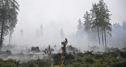 Evakuierungen in Monschau und Belgien wegen Waldbrands aufgehoben - Lage weiter 