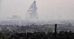 Waldbrand im Hohen Venn: Deutsche Feuerwehrleute ziehen ab