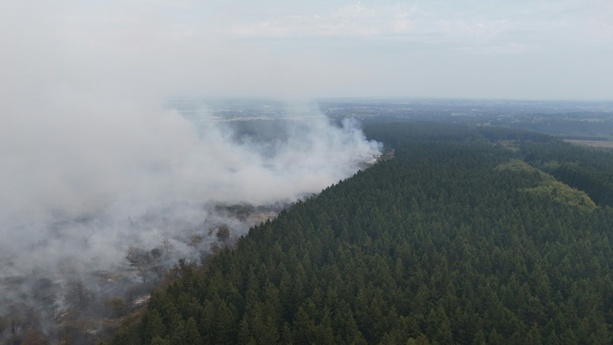 Bild vergr&ouml;&szlig;ern: Studie: Waldbrand-Zerstörungen in Europa könnten sich durch Klimawandel verdreifachen