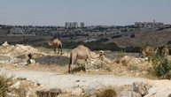 Israel weist Kritik aus Großbritannien an Siedlungsprojekt E1 zurück