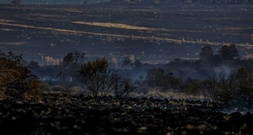 Waldbrand in Belgien laut Behörden
