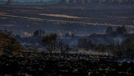 Waldbrand in Belgien laut Behörden 