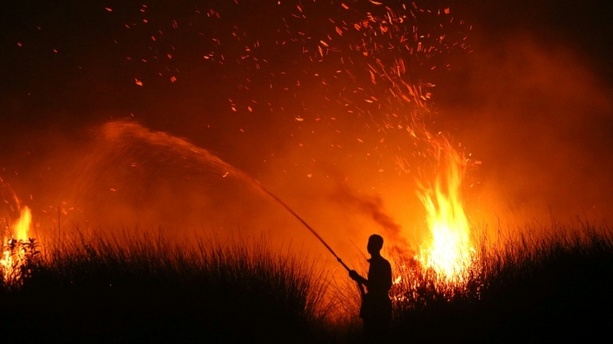 Bild vergr&ouml;&szlig;ern: Indonesien: Waldbrände zerstörten 2026 schon 200.000 Hektar - Das Schlimmste kommt noch