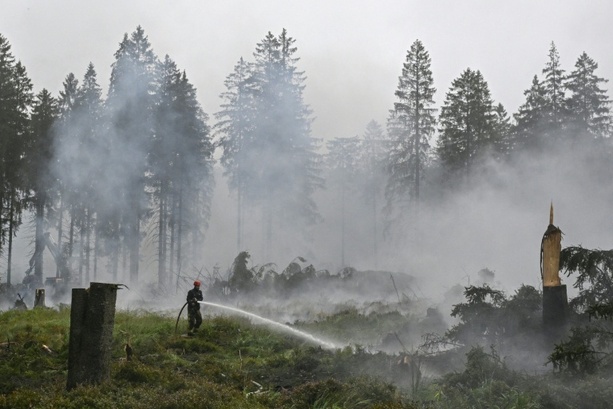 Bild vergr&ouml;&szlig;ern: Brand im Hohen Venn: Behörden warnen vor Betreten des Gebiets