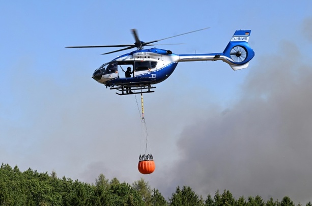 Bild vergr&ouml;&szlig;ern: Merz besucht Hürtgenwald nach schwerem Waldbrand
