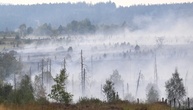 EU-Krisenkommissarin besucht Waldbrandgebiete in Deutschland und Belgien
