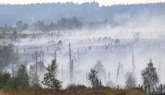 EU-Krisenkommissarin besucht Waldbrandgebiete in Deutschland und Belgien