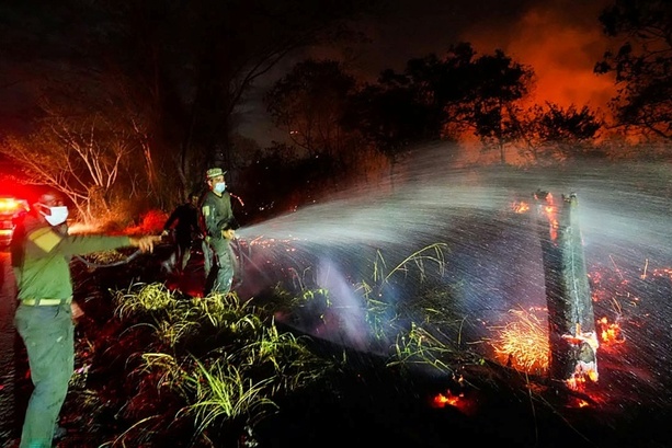 Bild vergr&ouml;&szlig;ern: Kolumbiens Regierung schickt Armee in Waldbrandgebiete im Westen des Landes