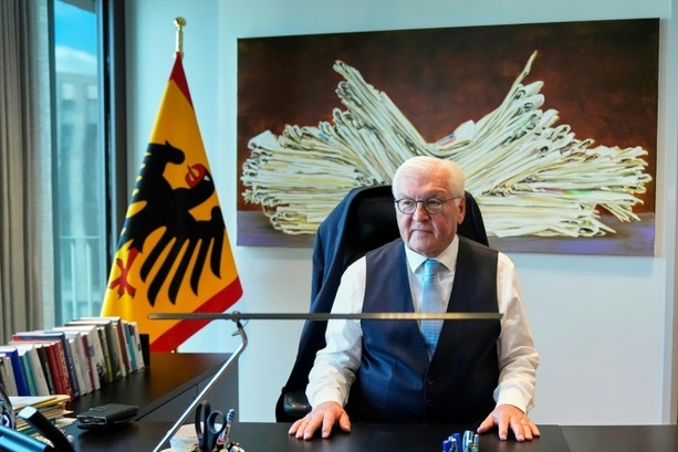 Bild vergr&ouml;&szlig;ern: Steinmeier wirbt für weitere Zuwanderung - Warnung vor Nationalismus