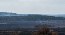 Brand im Hohen Venn: Staatsanwaltschaft vermutet 