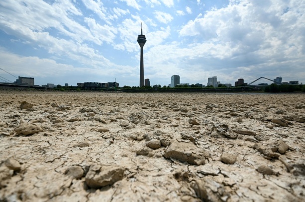 Bild vergr&ouml;&szlig;ern: Wetterdienst: Womöglich zweitwärmster Sommer seit Messbeginn in Deutschland
