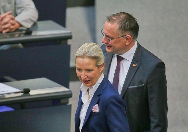 Bild vergr&ouml;&szlig;ern: Forsa: AfD bleibt deutlich vor Union