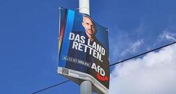 IW-Chef Hüther warnt vor AfD-Erfolg in Sachsen-Anhalt