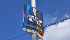 IW-Chef Hüther warnt vor AfD-Erfolg in Sachsen-Anhalt