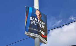 IW-Chef Hüther warnt vor AfD-Erfolg in Sachsen-Anhalt