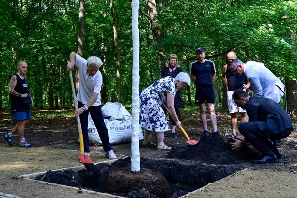 Bild vergr&ouml;&szlig;ern: Gedenkort nach CSD-Anschlag: Baum in Berliner Tiergarten herausgerissen