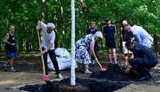 Gedenkort nach CSD-Anschlag: Baum in Berliner Tiergarten herausgerissen