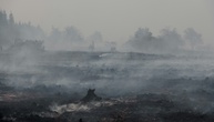 WMO: Hitzewellen und Waldbrände verschlechtern die Luftqualität