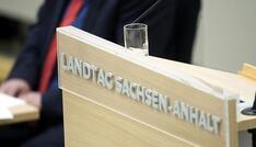 SPD, Grüne und Linke offen für Bundeszwang in Sachsen-Anhalt