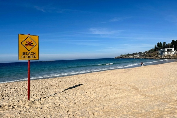 Bild vergr&ouml;&szlig;ern: Surfer vor der Westküste Australiens bei Haiangriff schwer verletzt