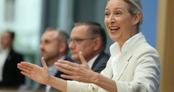 AfD-Chefin Weidel fordert Neuwahlen im Bund