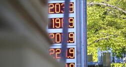 DIW fordert staatliche Maßnahmen gegen hohe Spritpreise